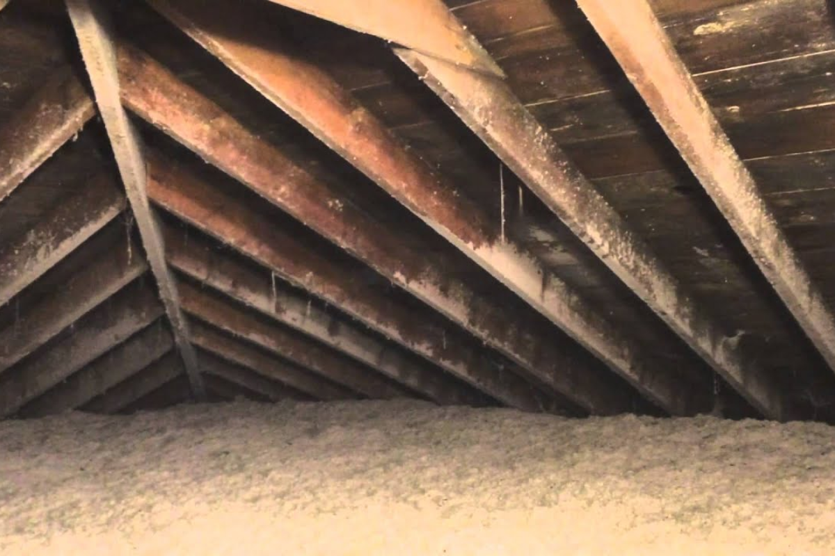 Mildew in the Attic